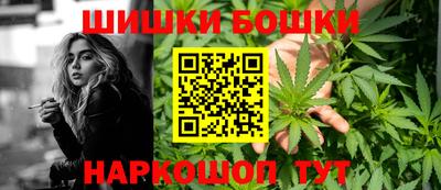 сатива Новодвинск