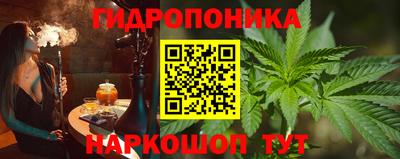jwh Новозыбков