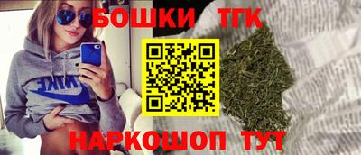 сатива Новодвинск