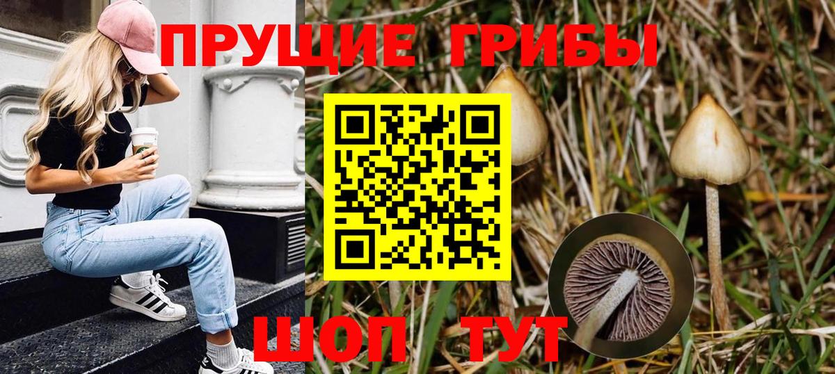 Галлюциногенные грибы GOLDEN TEACHER Сорочинск
