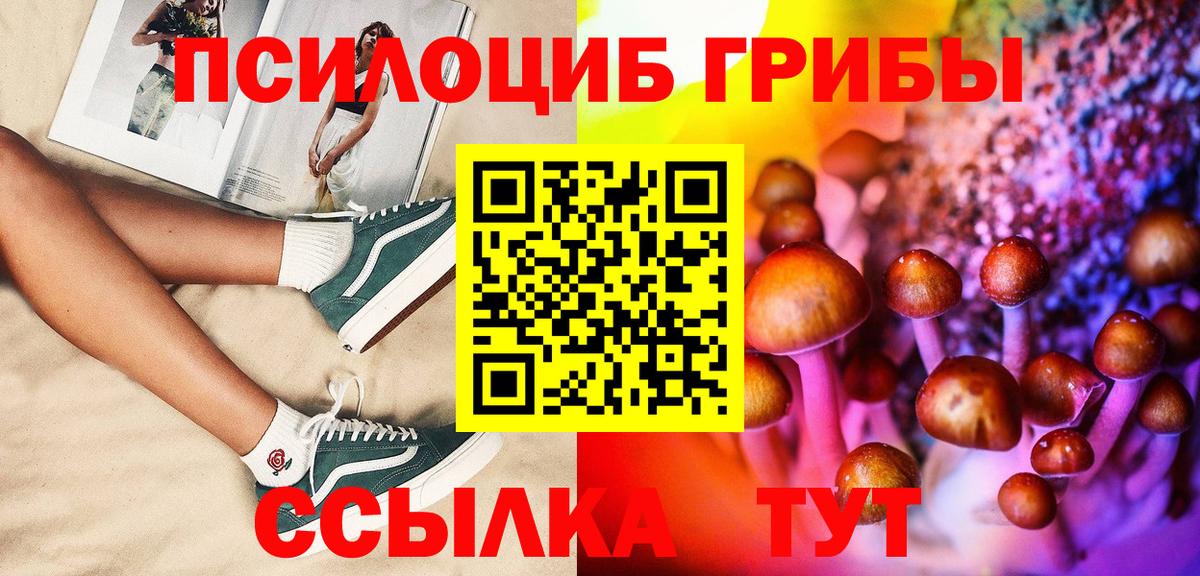 Галлюциногенные грибы мицелий  Вход с VPN  Сорочинск  Галлюциногенные грибы Cubensis 